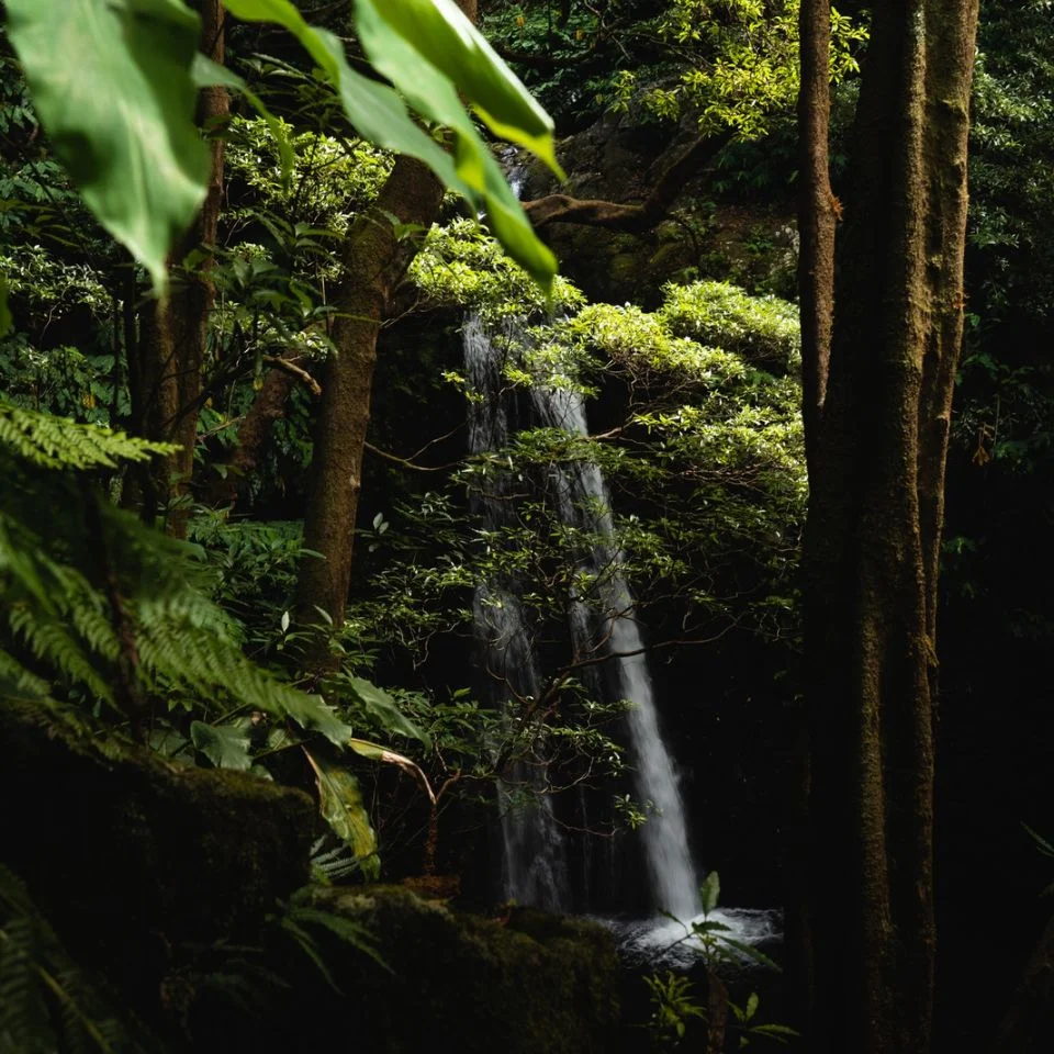 Discover secret waterfalls