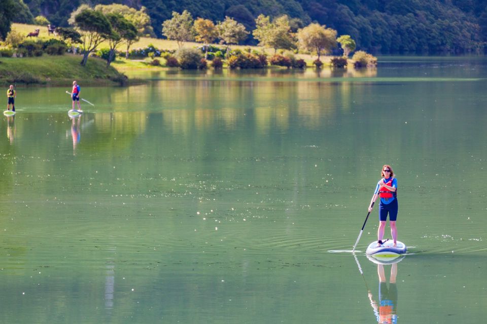 Fun paddle boards