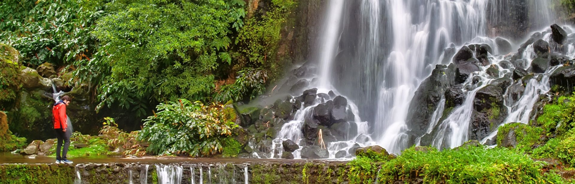 Hiking in Faial da Terra & Van Tour to Nordeste