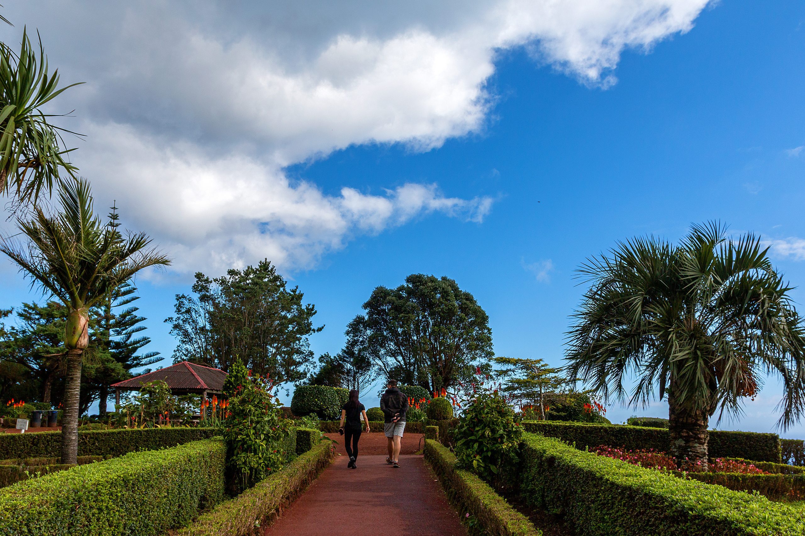 David Rodrigues | Walking in the gardens of Miradouro da Ponta do Sossego