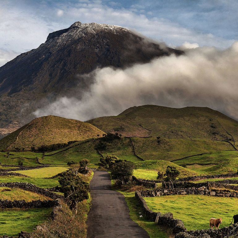 Pico Island Van Tour