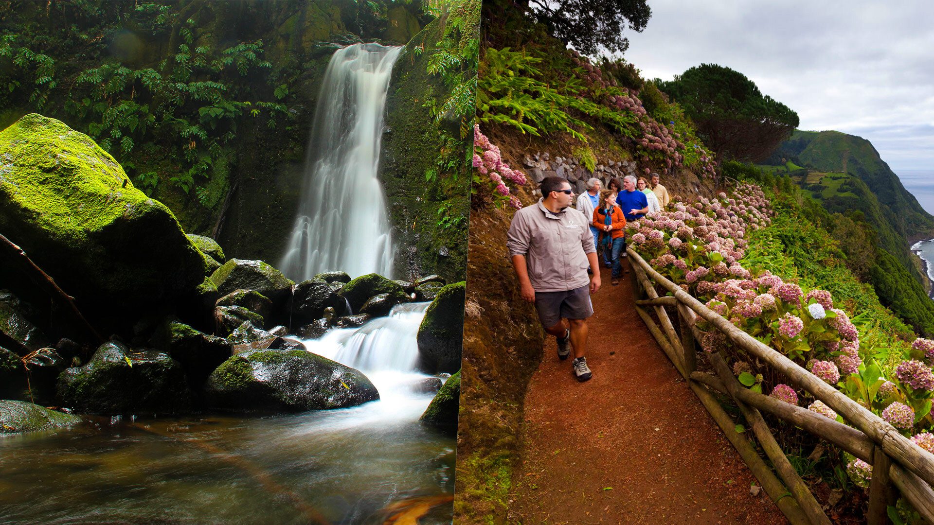 Hiking in Faial da Terra & Van Tour to Nordeste