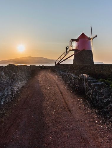 Van Tour Wine Culture from Lajes do Pico