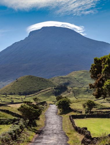 Pico Island Van Tour