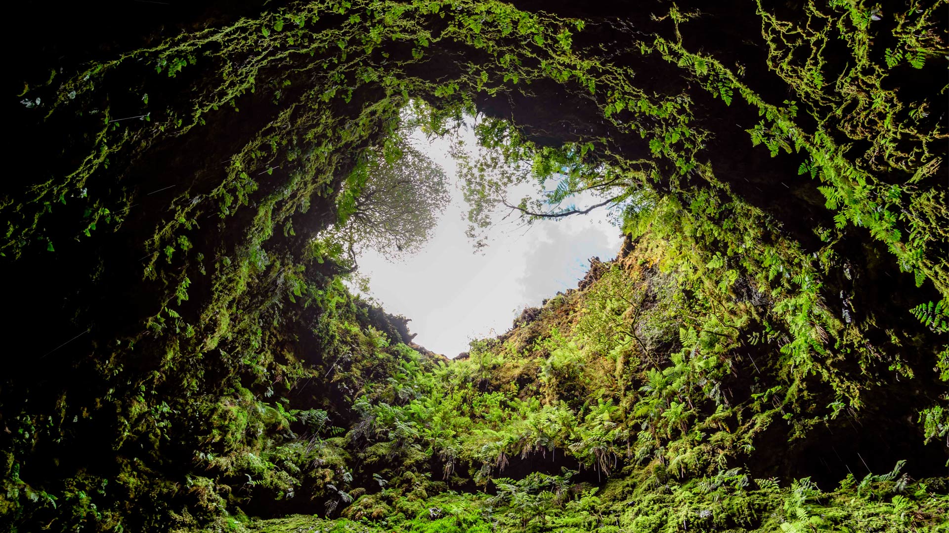 Algar do Carvão:  Inside a Volcano in the Azores