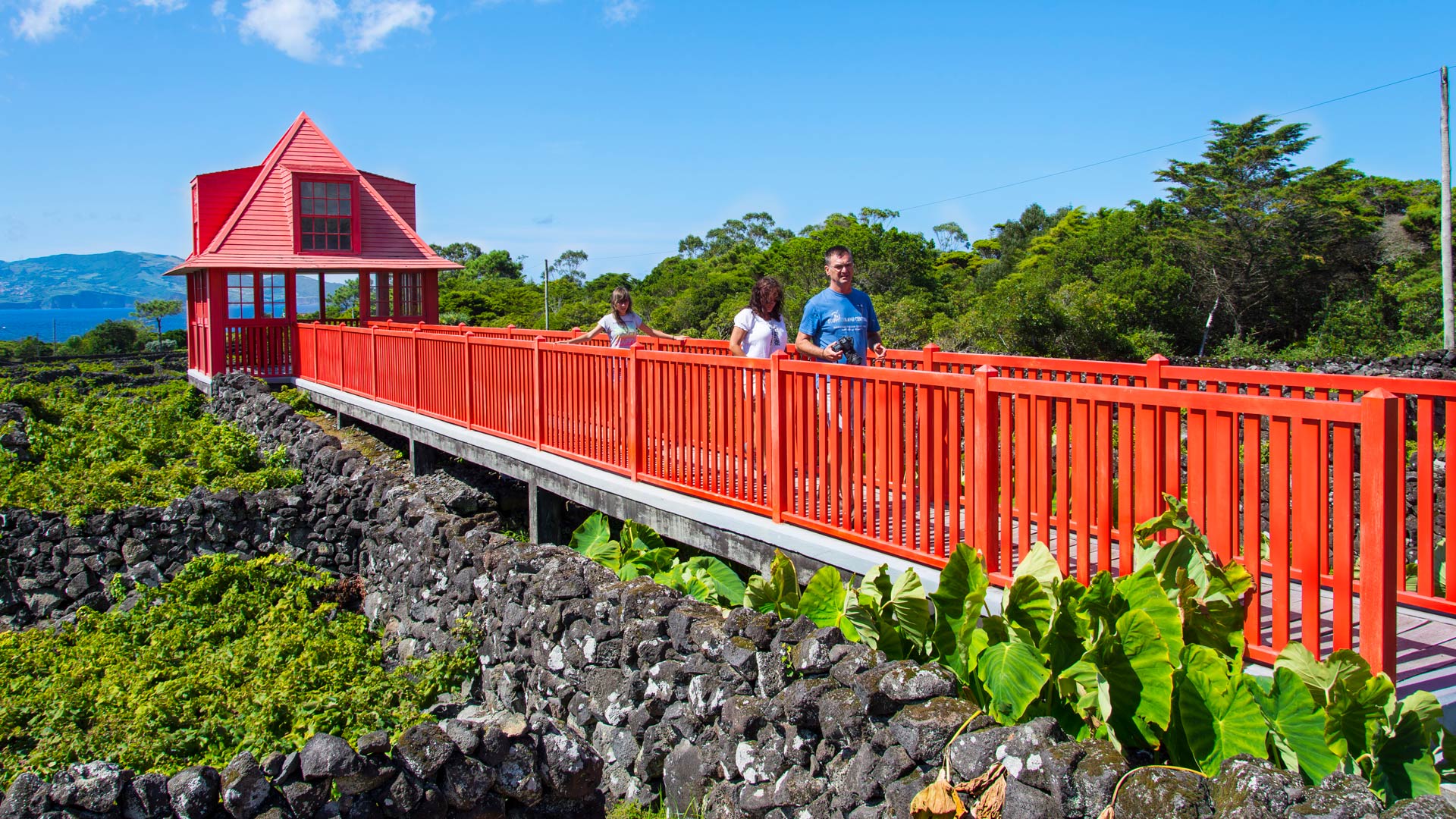 Azores Language and Phrases