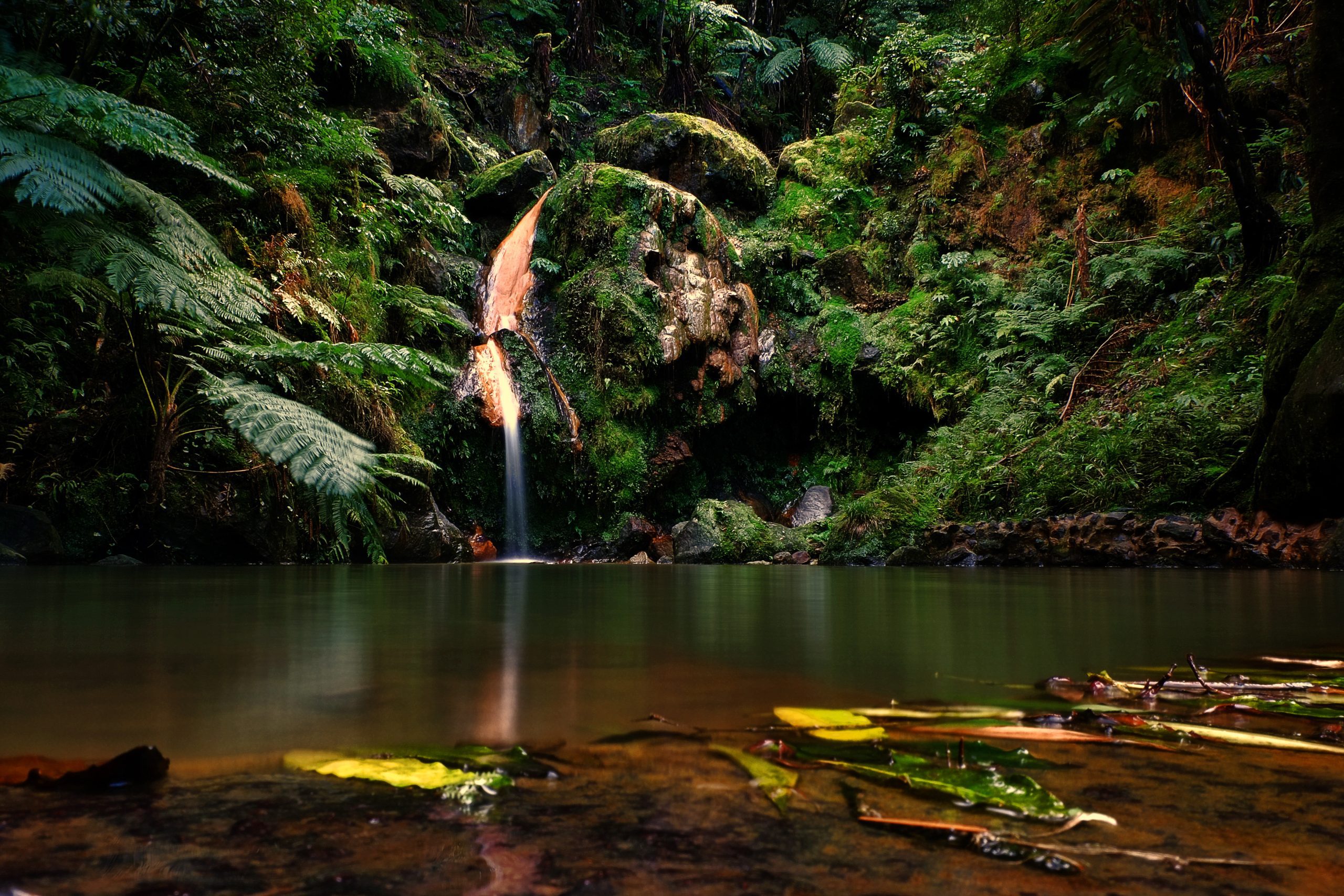 Caldeira Velha: The Natural Monument to visit in the Azores