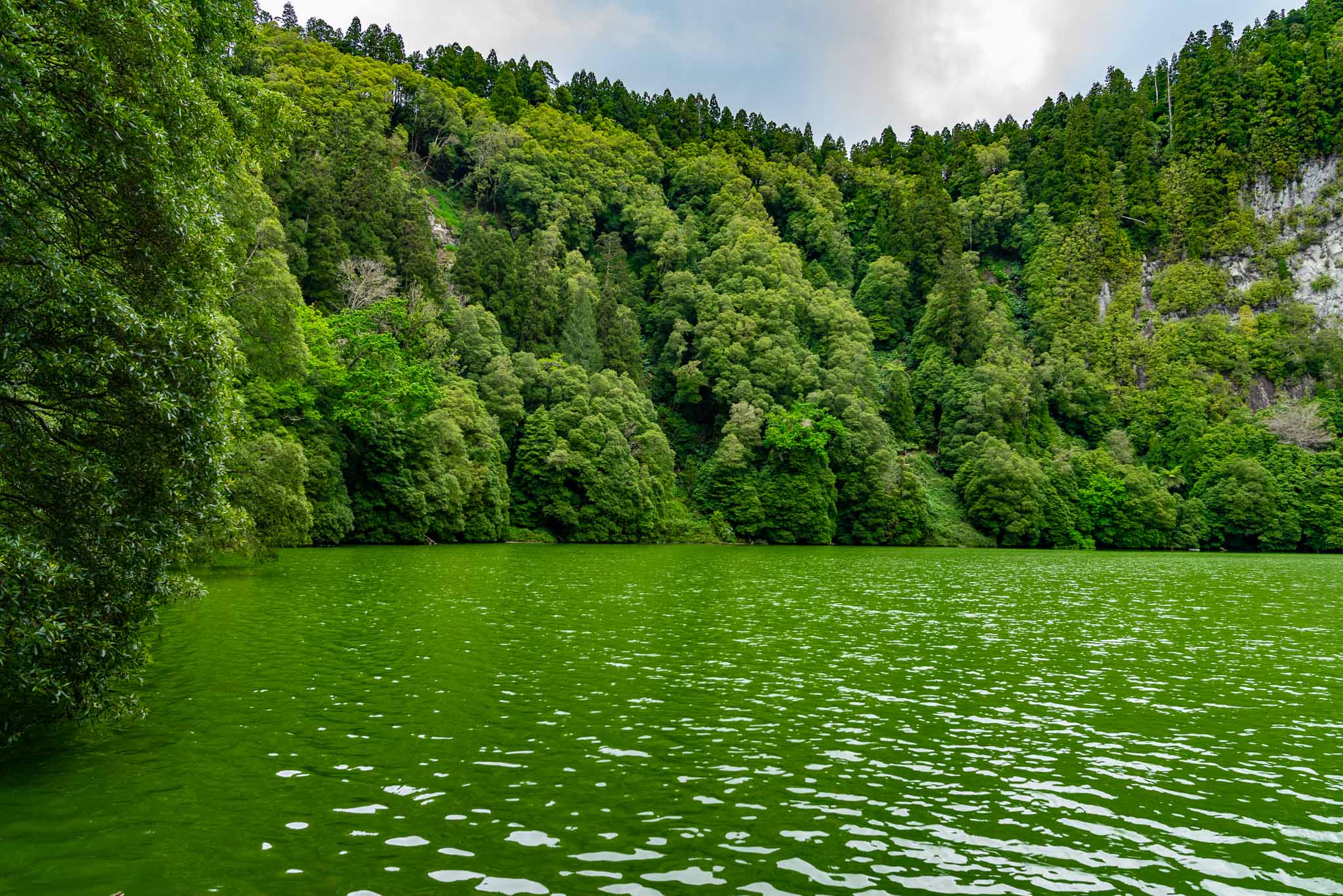 Lagoa do Congro: The Green Wonderland in the Azores