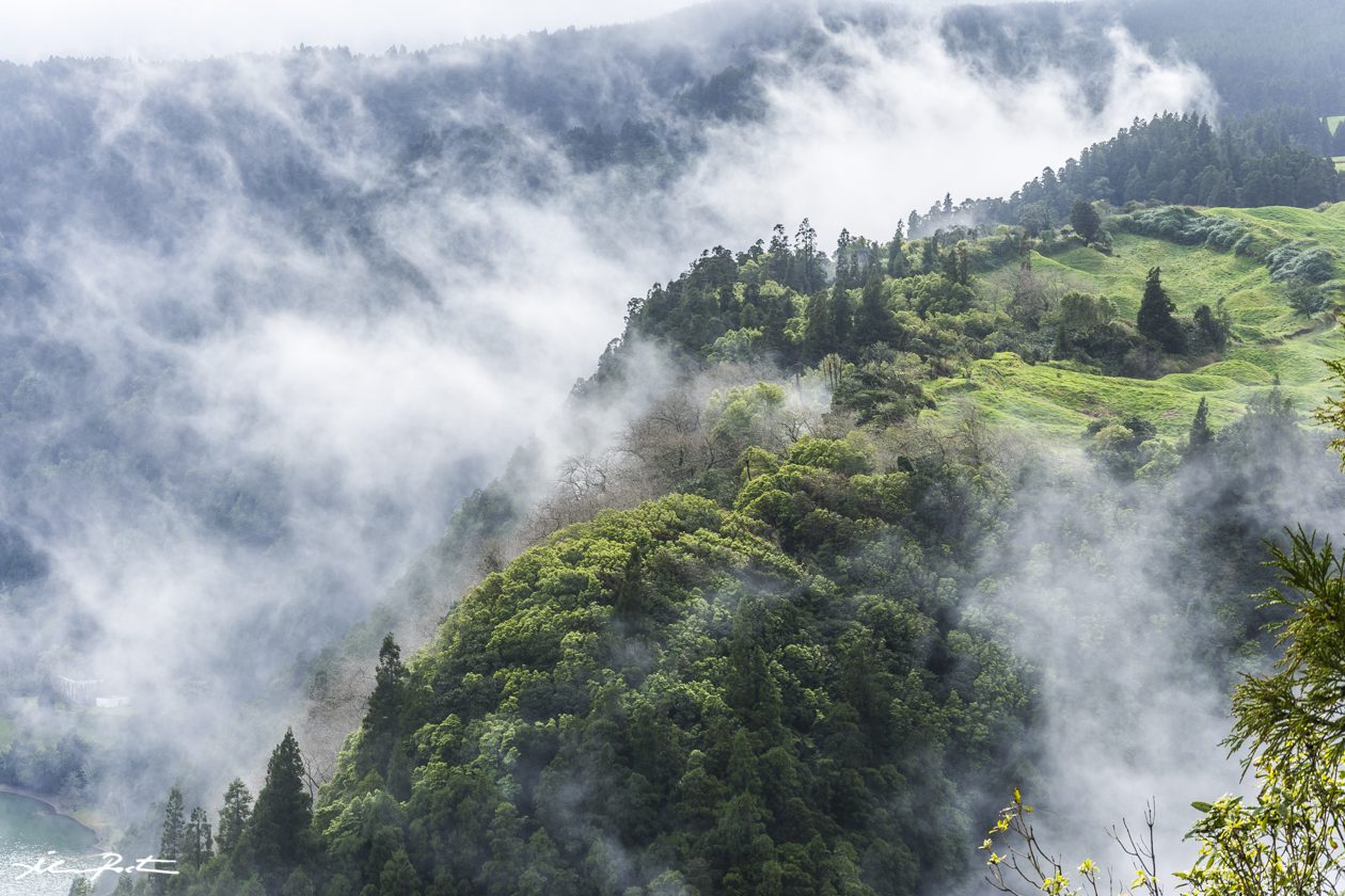 Alvaro RP | Der üppige Wald um den Miradouro do Pico do Ferro