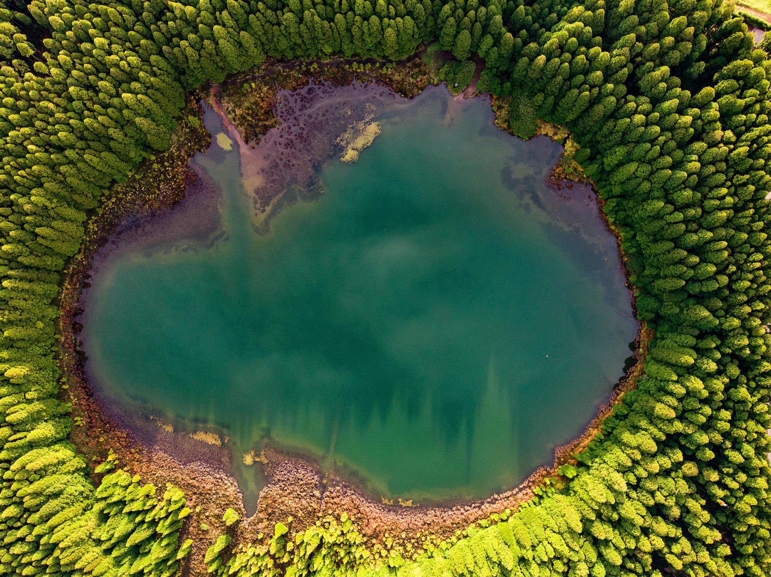 Alexandre Balas | The serenity of the Canary Lagoon inside the Mata do Canário Forest Park.