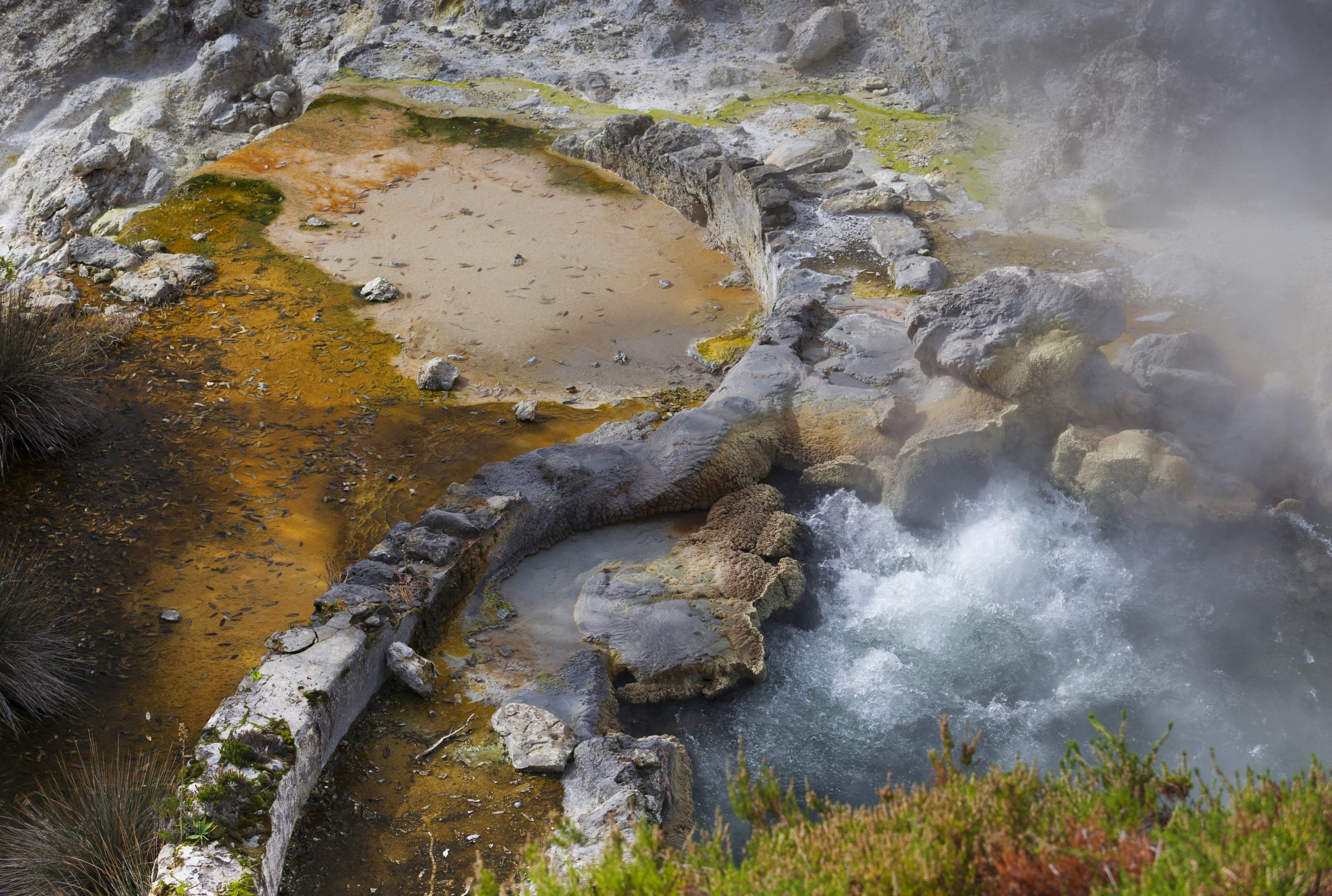 Furnas: Geothermal Marvels and Lush Biodiversity