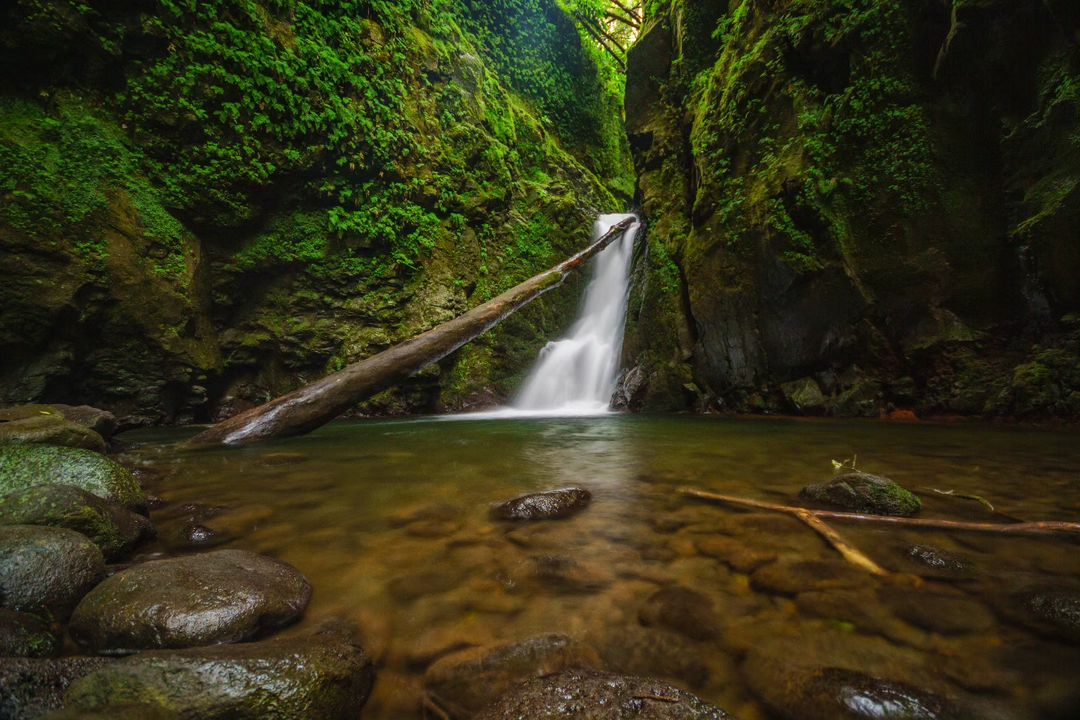 Salto do Cagarrão: The Hidden Waterfall in the Middle of the Forest in the Azores