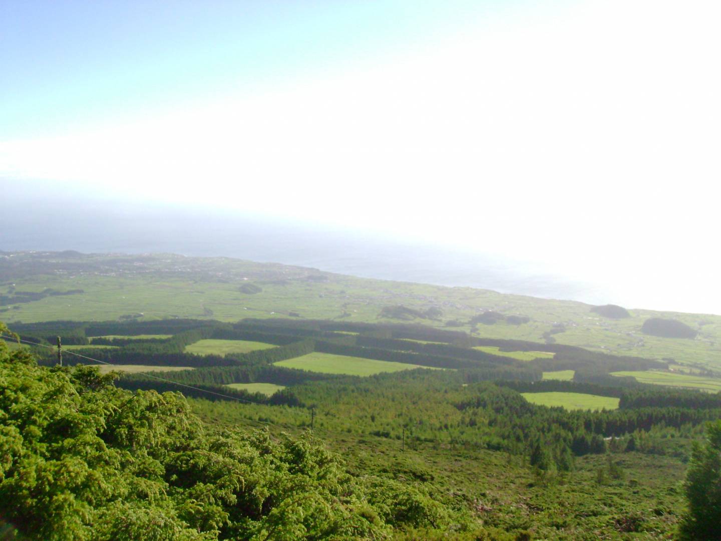 Miradouro da Serra de Santa Bárbara: A Landscape Over the Cloud Forest