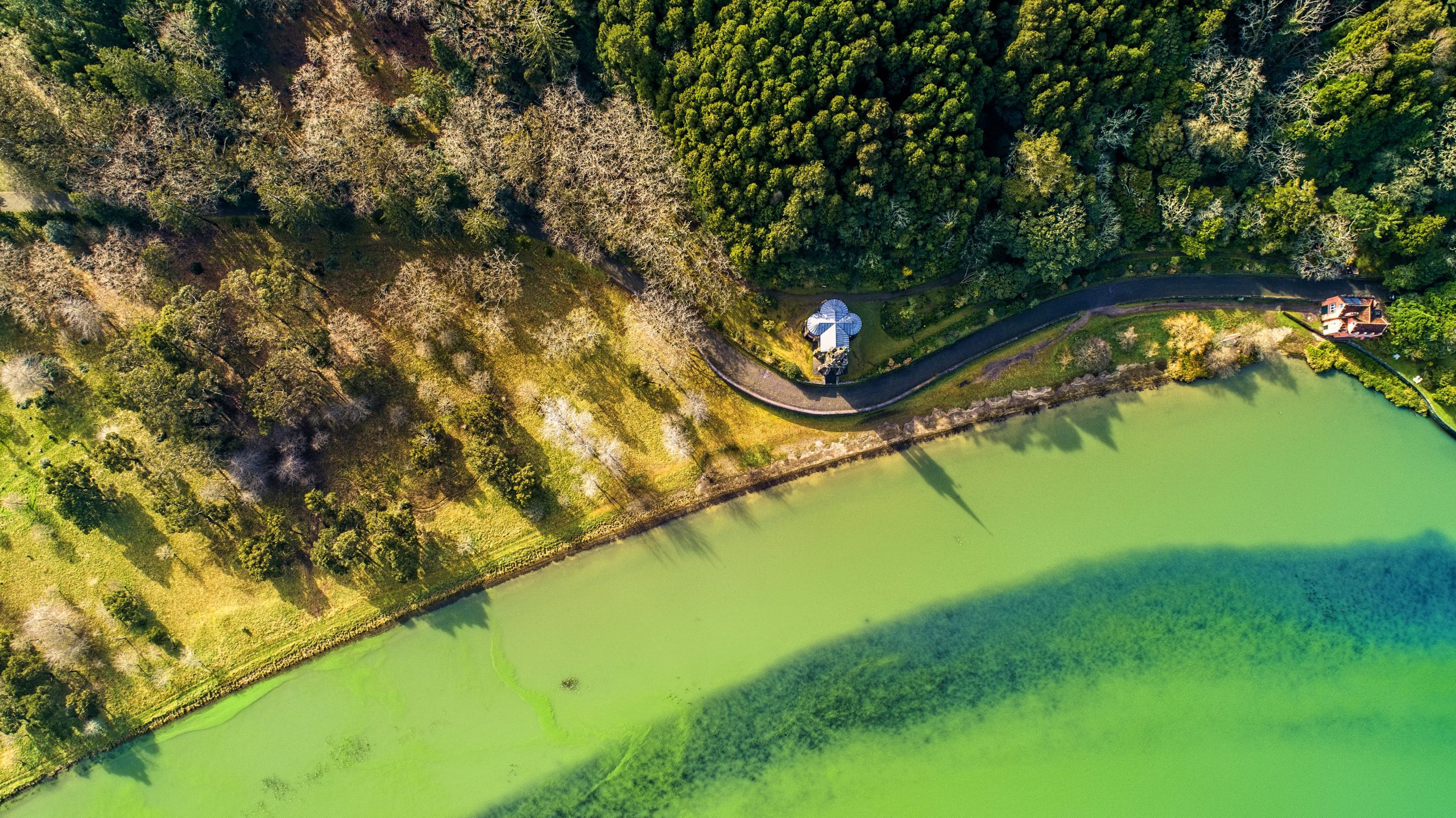 Lagoa das Furnas: The Crown Jewel of São Miguel