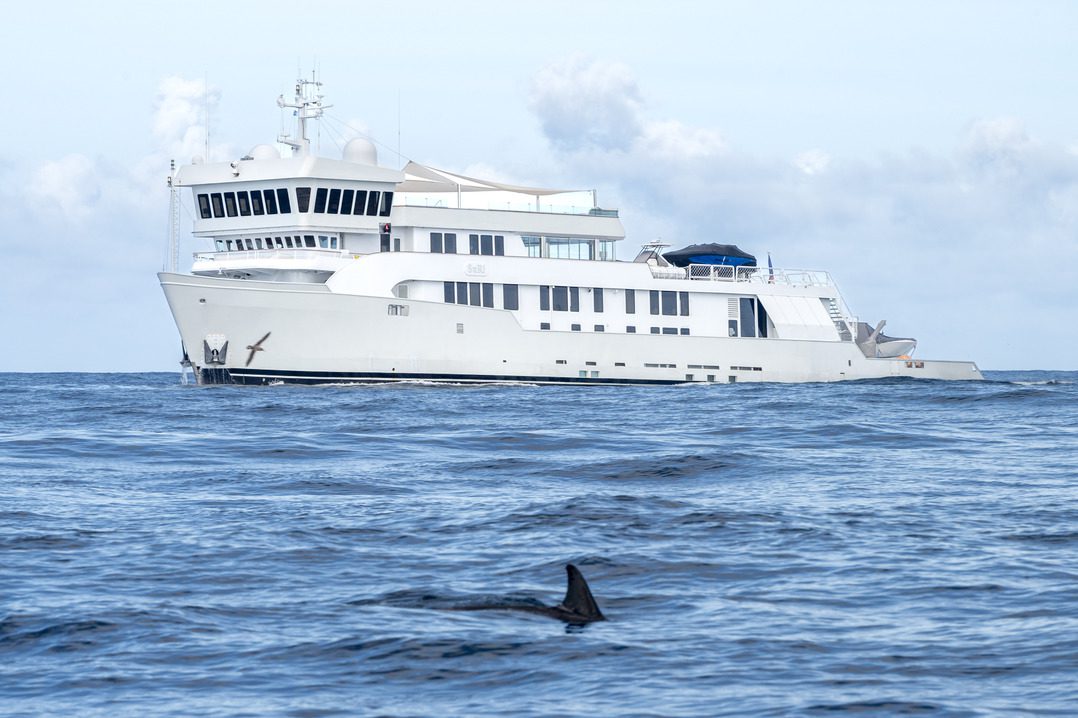 Travel Between Islands by Ferry | Atlânticoline