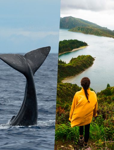 Whale Watching & Jeep Tour Lagoa do Fogo