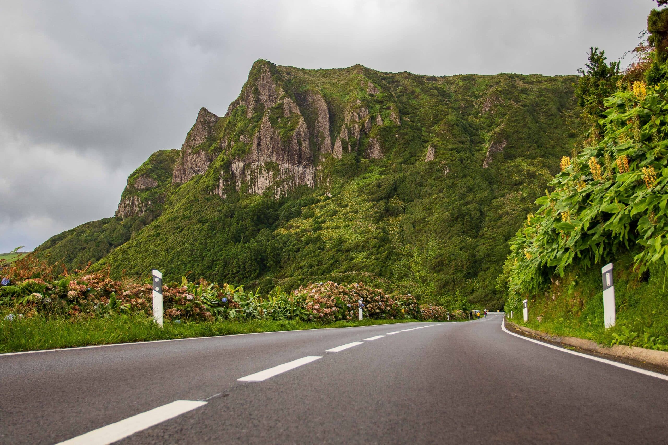 Rocha dos Bordões: The Huge Basalt Organ in Flores Island