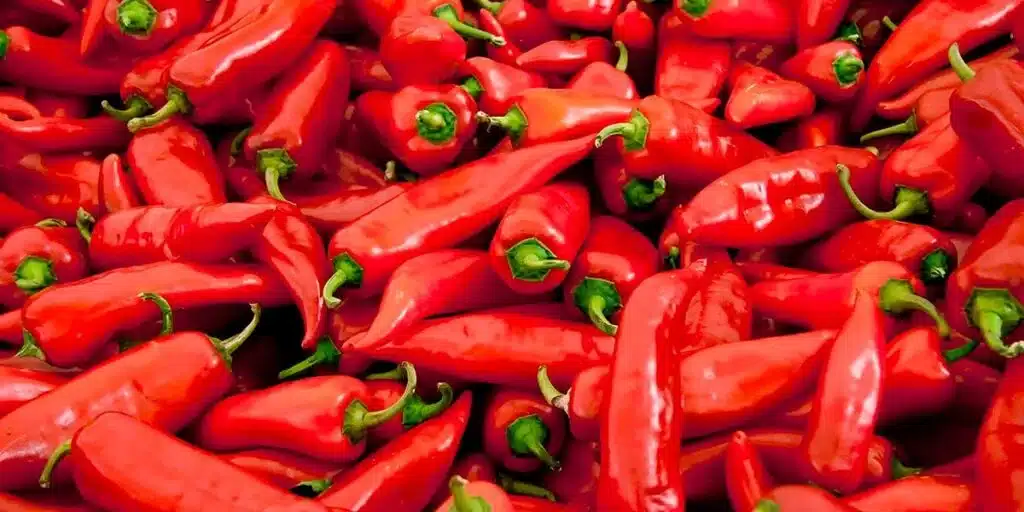 Pimenta da Terra: Tradition With Authentic Flavor